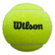 Wilson Padel Premier 3 Ball Pot