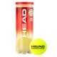 Boite 72 Balles - 24 Bocaux de 3 pcs - Head Championship Tennis