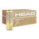 Cajon 72 Pelotas - 24 Botes de 3 uds - Head Tour Tennis