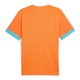 Puma Individual Orange T-Shirt