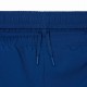 Lacoste Sport Tennis Shorts Blue